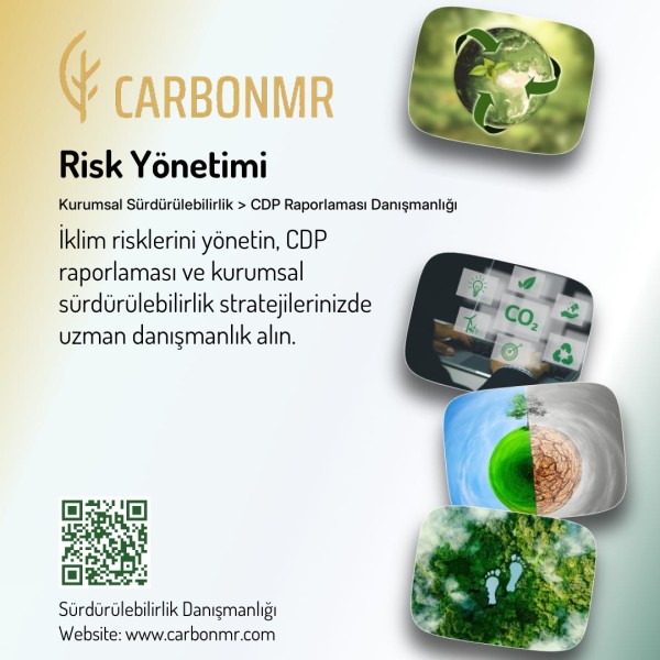 Risk Yönetimi › CDP Raporlaması Danışmanlığı | Kurumsal Sürdürülebilirlik