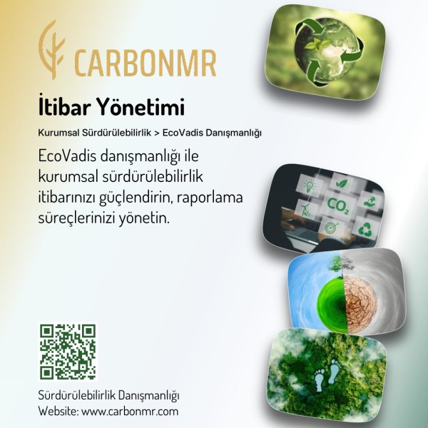 İtibar Yönetimi › EcoVadis Danışmanlığı | Kurumsal Sürdürülebilirlik